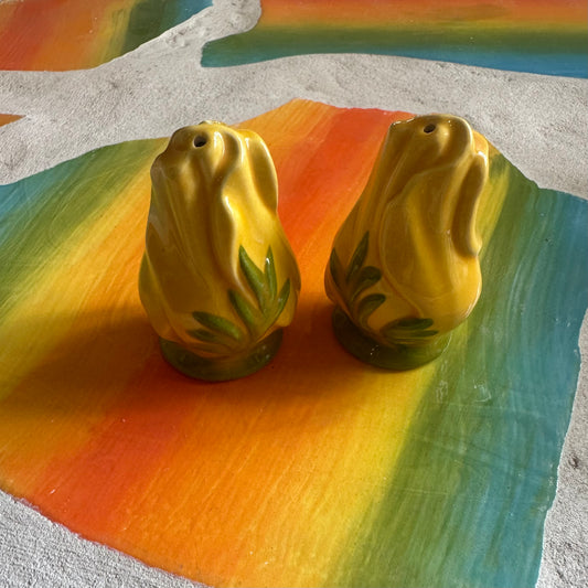 Vintage Tulip Shakers!